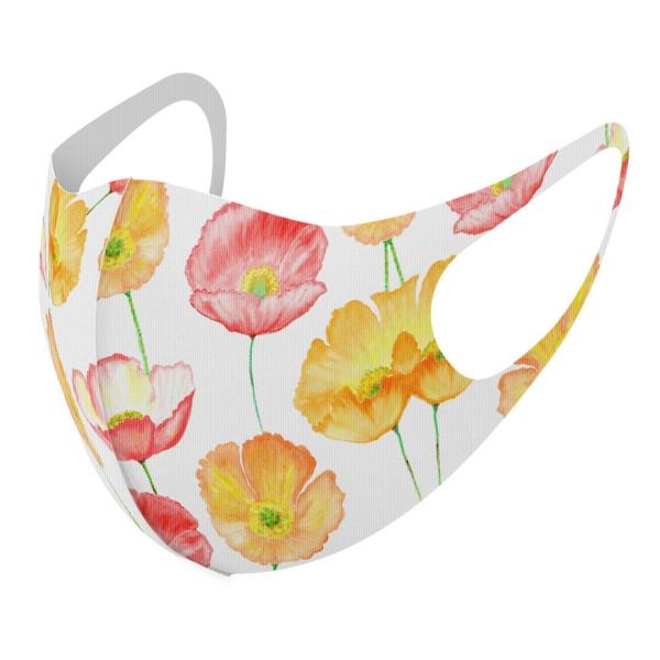 }XN 2Zbg fUC 􂦂 |GXe Y fB[X j  ǂ WjA c Aw ԁ@ԕ@A 013410