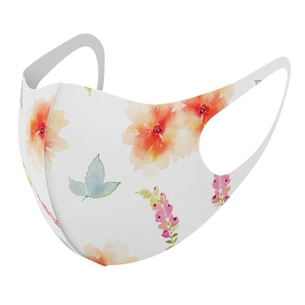 }XN 2Zbg fUC 􂦂 |GXe Y fB[X j  ǂ WjA c Aw ԁ@ԕ@t 013415