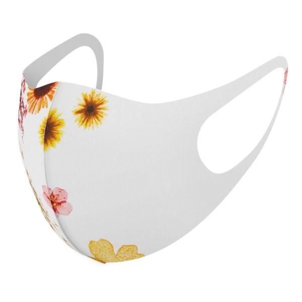 }XN 2Zbg fUC 􂦂 |GXe Y fB[X j  ǂ WjA c Aw ԁ@ԕ@F 013427