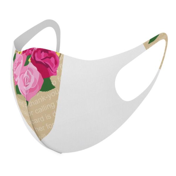 }XN 2Zbg fUC 􂦂 |GXe Y fB[X j  ǂ WjA c Aw ԁ@ԑ@sN 013464