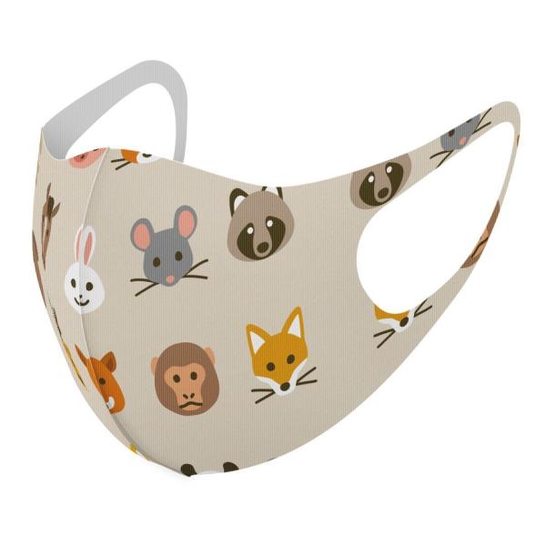 }XN 2Zbg fUC 􂦂 |GXe Y fB[X j  ǂ WjA c Aw @킢@CXg 013480