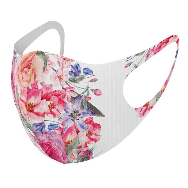 }XN 2Zbg fUC 􂦂 |GXe Y fB[X j  ǂ WjA c Aw ԁ@ԕ@ 013495