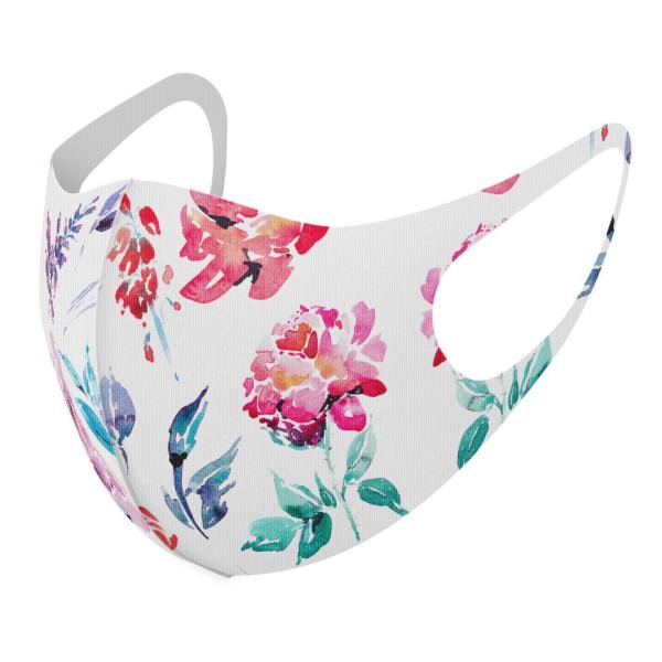 }XN 2Zbg fUC 􂦂 |GXe Y fB[X j  ǂ WjA c Aw ԁ@ԕ@ 013496