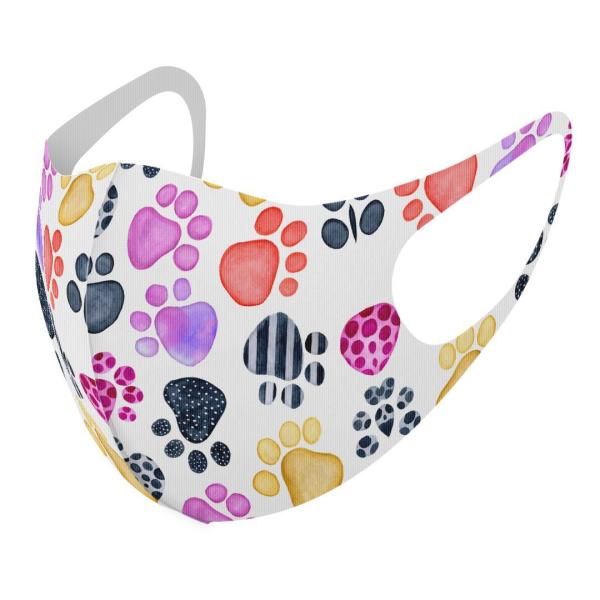 }XN 2Zbg fUC 􂦂 |GXe Y fB[X j  ǂ WjA c Aw @Ձ@ 013497