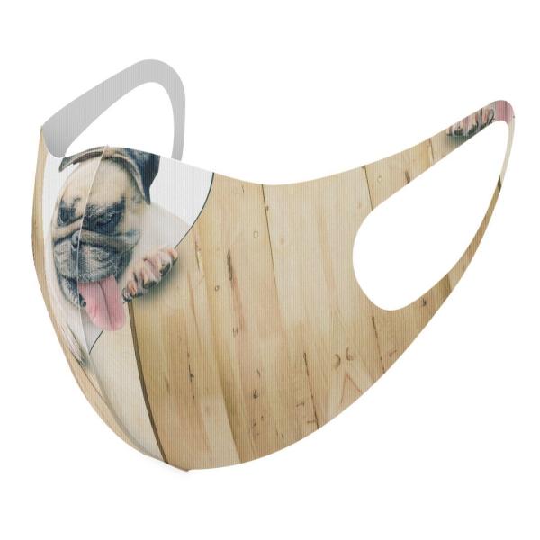 }XN 2Zbg fUC 􂦂 |GXe Y fB[X j  ǂ WjA c Aw @pO@n[g 013529