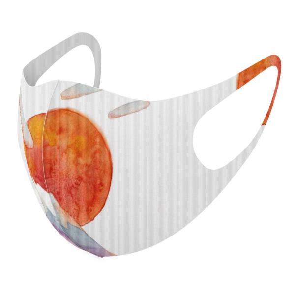 }XN 2Zbg fUC 􂦂 |GXe Y fB[X j  ǂ WjA c Aw @xmR@̏o 013572