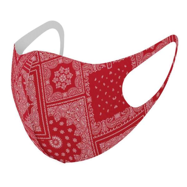 }XN 2Zbg fUC 􂦂 |GXe Y fB[X j  ǂ WjA c Aw yCY[@͗l@ 013973