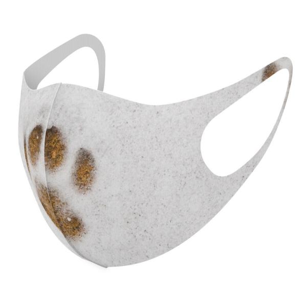 }XN 2Zbg fUC 􂦂 |GXe Y fB[X j  ǂ WjA c Aw @ 014113