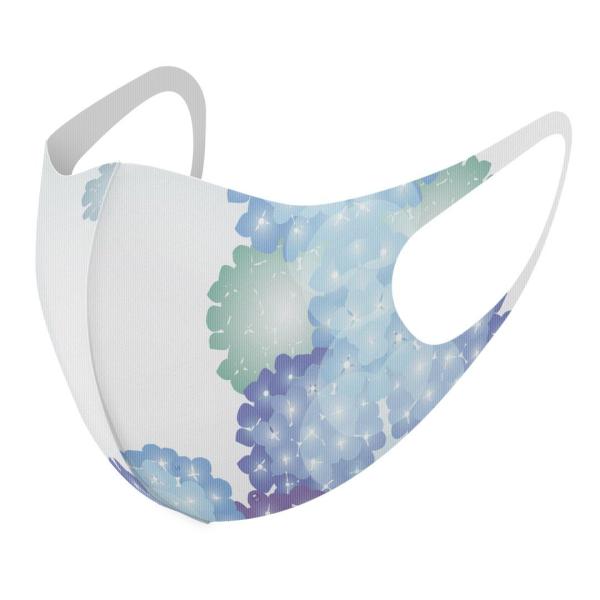 }XN 2Zbg fUC 􂦂 |GXe Y fB[X j  ǂ WjA c Aw ԁ@AWTC@t[ 014184