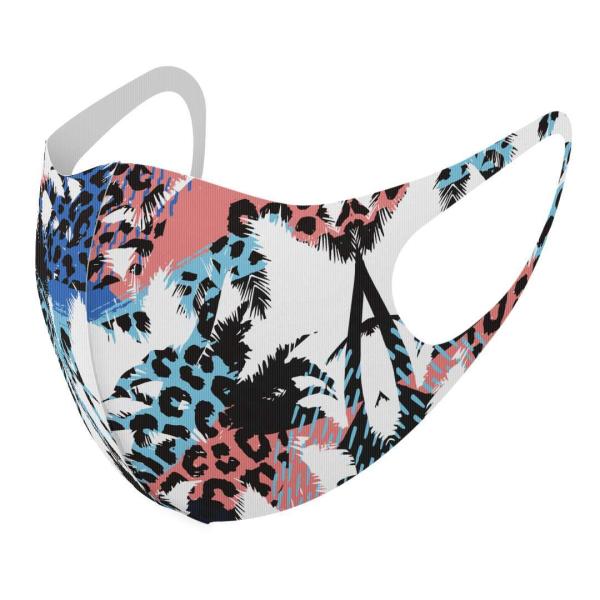 }XN 2Zbg fUC 􂦂 |GXe Y fB[X j  ǂ WjA c Aw [t@gsJ@V̖ 014319