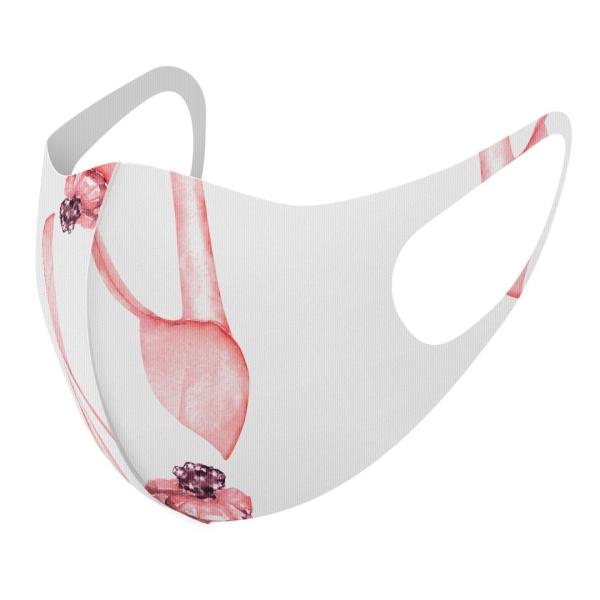 }XN 2Zbg fUC 􂦂 |GXe Y fB[X j  ǂ WjA c Aw t@bV@@C 014359