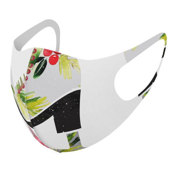 }XN 2Zbg fUC 􂦂 |GXe Y fB[X j  ǂ WjA c Aw t@bV@@C 014525