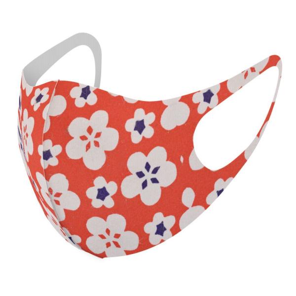 }XN 2Zbg fUC 􂦂 |GXe Y fB[X j  ǂ WjA c Aw ԕ@ԁ@g 014535