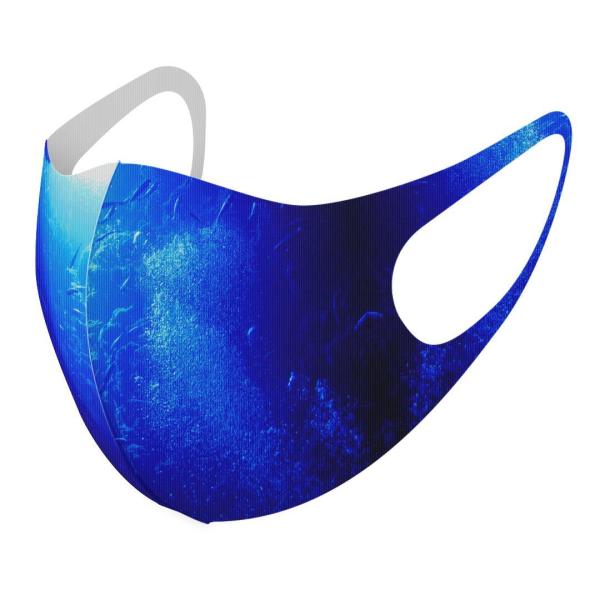 }XN 2Zbg fUC 􂦂 |GXe Y fB[X j  ǂ WjA c Aw C@[C@ʐ^ 014561