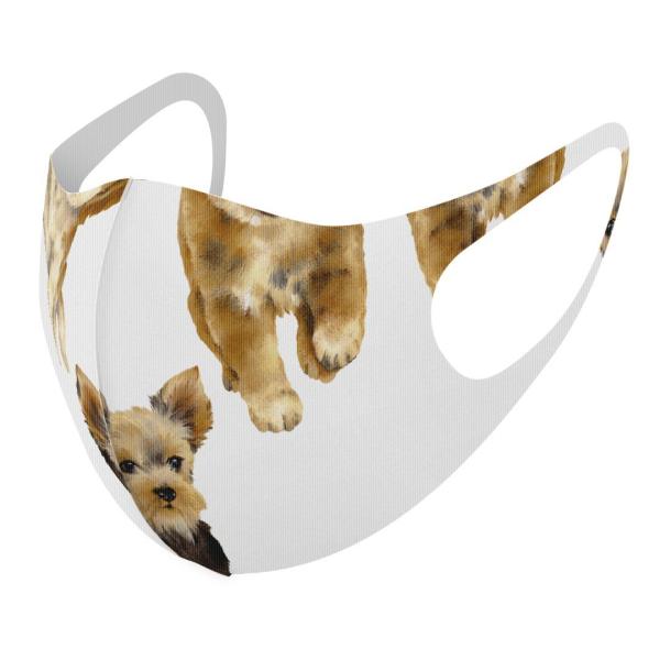 }XN 2Zbg fUC 􂦂 |GXe Y fB[X j  ǂ WjA c Aw @@Aj} 014619