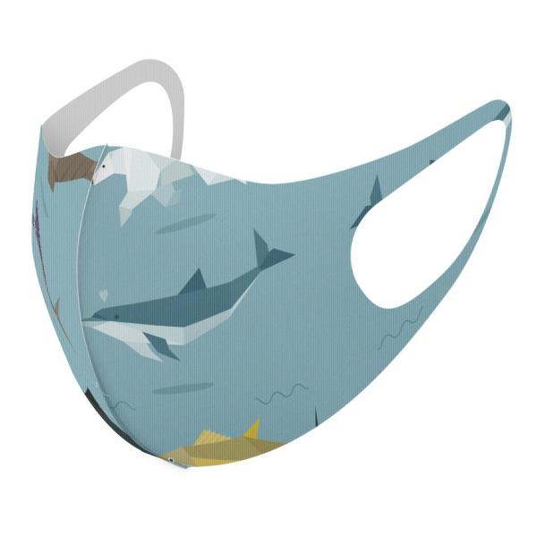 }XN 2Zbg fUC 􂦂 |GXe Y fB[X j  ǂ WjA c Aw C@@T 014623