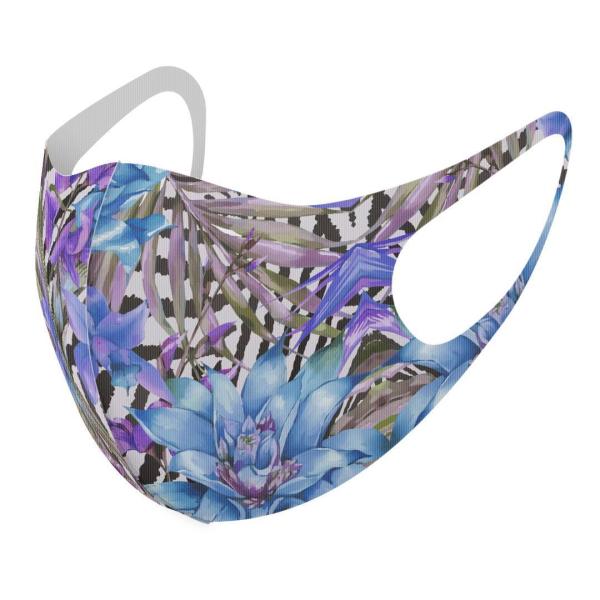 }XN 2Zbg fUC 􂦂 |GXe Y fB[X j  ǂ WjA c Aw ԁ@[u@ 014645