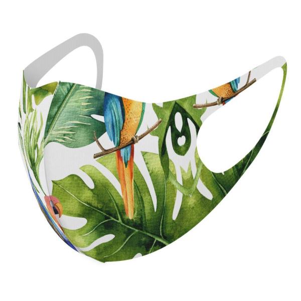 }XN 2Zbg fUC 􂦂 |GXe Y fB[X j  ǂ WjA c Aw [t@{^jJ@CR 014723