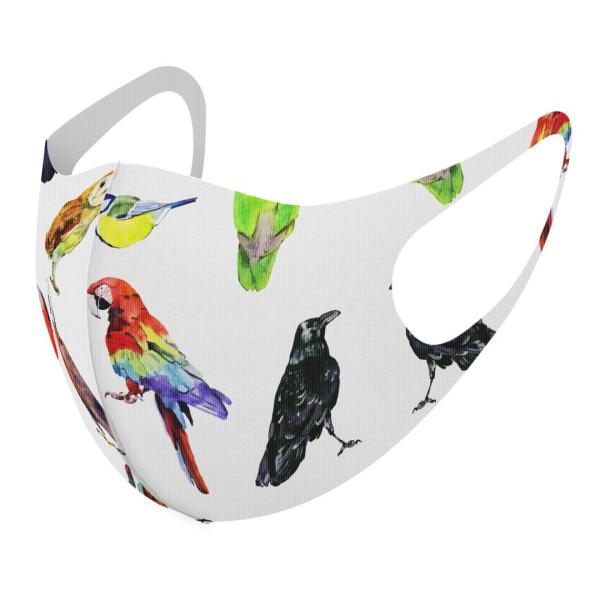 }XN 2Zbg fUC 􂦂 |GXe Y fB[X j  ǂ WjA c Aw @Jt@bard 014764