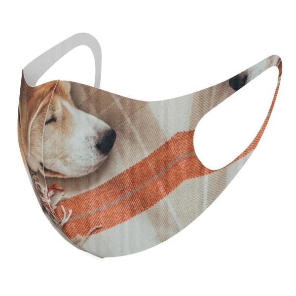 }XN 2Zbg fUC 􂦂 |GXe Y fB[X j  ǂ WjA c Aw @Q 014838