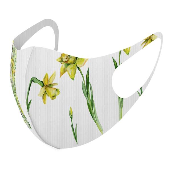 }XN 2Zbg fUC 􂦂 |GXe Y fB[X j  ǂ WjA c Aw ԁ@Ԃт@F 014895