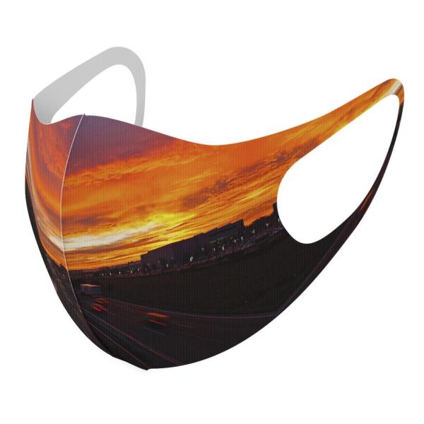 }XN 2Zbg fUC 􂦂 |GXe Y fB[X j  ǂ WjA c Aw i@R@wi@@[ 014962