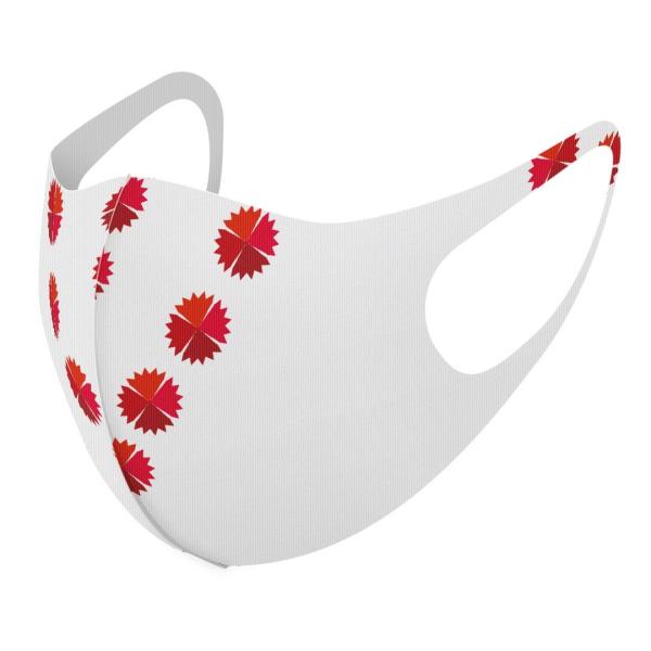 }XN 2Zbg fUC 􂦂 |GXe Y fB[X j  ǂ WjA c Aw ̓@o@ԁ@@J[l[V 015278