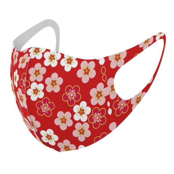 }XN 2Zbg fUC 􂦂 |GXe Y fB[X j  ǂ WjA c Aw ԁ@~@ 015295