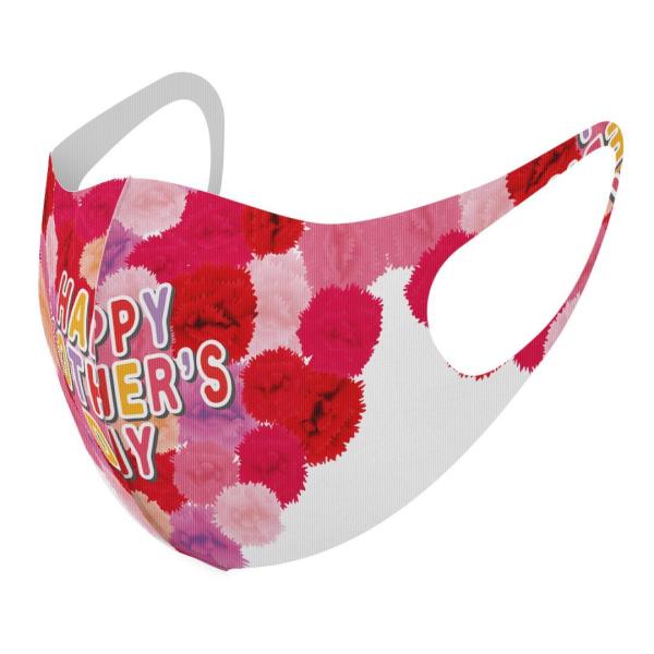 }XN 2Zbg fUC 􂦂 |GXe Y fB[X j  ǂ WjA c Aw ̓@o@ԁ@@J[l[V 015311