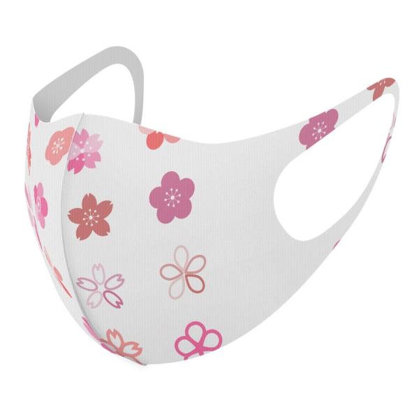 }XN 2Zbg fUC 􂦂 |GXe Y fB[X j  ǂ WjA c Aw @sN@킢@ԁ@A 015423