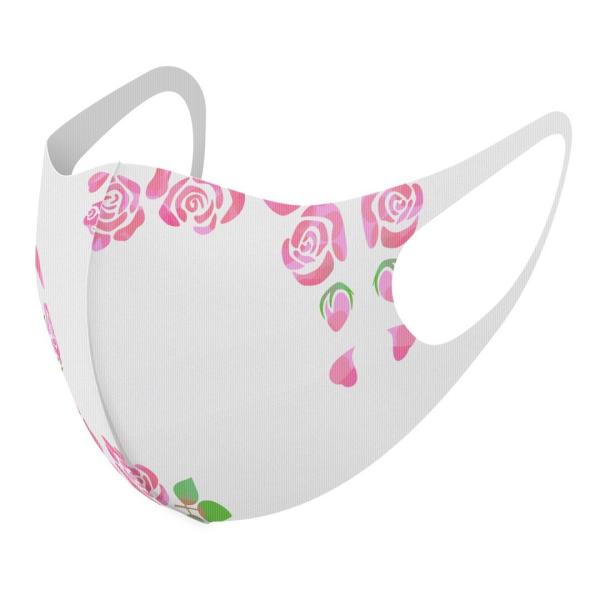 }XN 2Zbg fUC 􂦂 |GXe Y fB[X j  ǂ WjA c Aw o@ԁ@sN@킢 015522