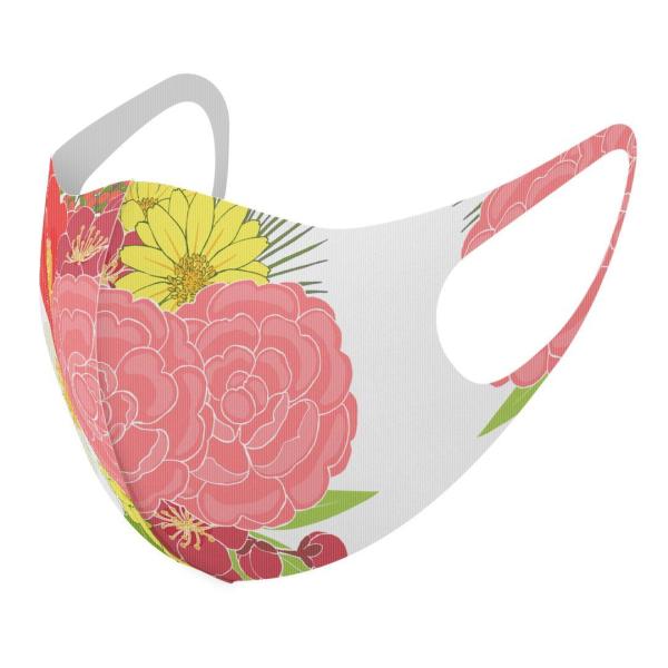 }XN 2Zbg fUC 􂦂 |GXe Y fB[X j  ǂ WjA c Aw ԁ@G@o@ԑ 015571