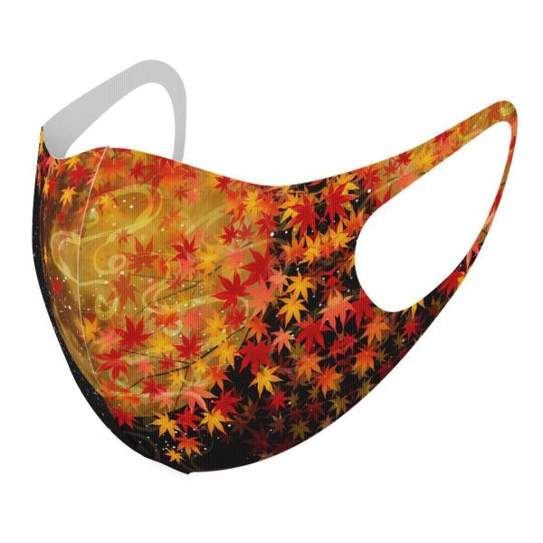 }XN 2Zbg fUC 􂦂 |GXe Y fB[X j  ǂ WjA c Aw a@gt@@@a 015640