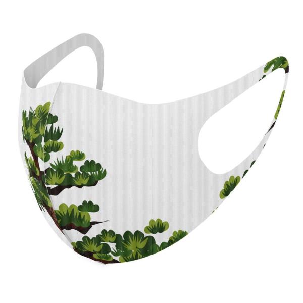 }XN 2Zbg fUC 􂦂 |GXe Y fB[X j  ǂ WjA c Aw ~́@a 015646