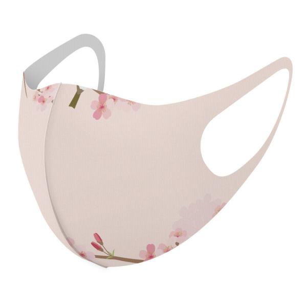 }XN 2Zbg fUC 􂦂 |GXe Y fB[X j  ǂ WjA c Aw ~@ԁ@@A 015647