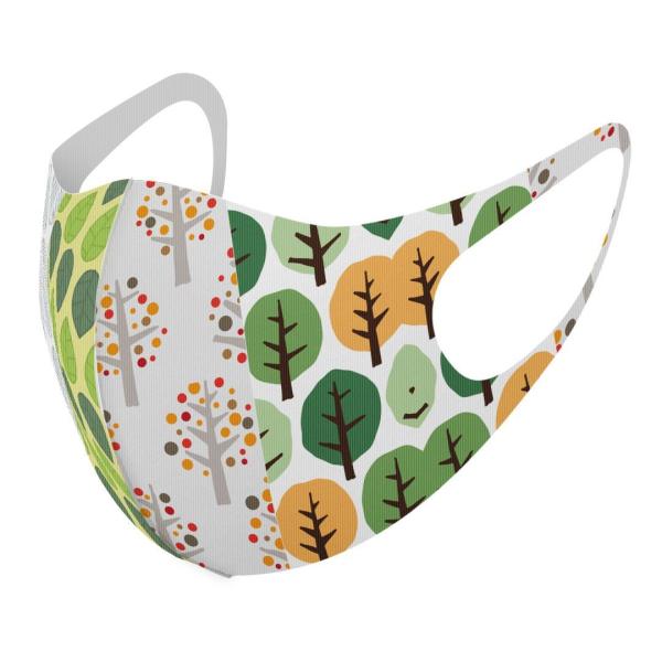 }XN 2Zbg fUC 􂦂 |GXe Y fB[X j  ǂ WjA c Aw ؁@͗l@ 015651