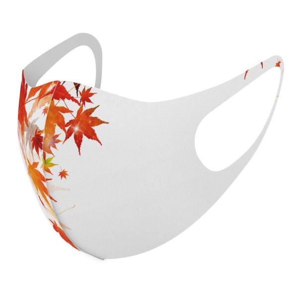 }XN 2Zbg fUC 􂦂 |GXe Y fB[X j  ǂ WjA c Aw a@gt@a 015654