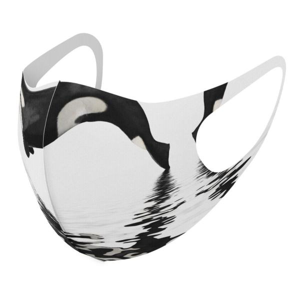 }XN 2Zbg fUC 􂦂 |GXe Y fB[X j  ǂ WjA c Aw C@V`@ 015849