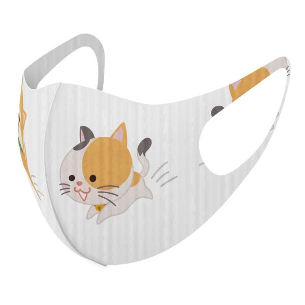 }XN 2Zbg fUC 􂦂 |GXe Y fB[X j  ǂ WjA c Aw L@킢 016076