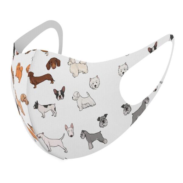 }XN 2Zbg fUC 􂦂 |GXe Y fB[X j  ǂ WjA c Aw @@CXg 016113