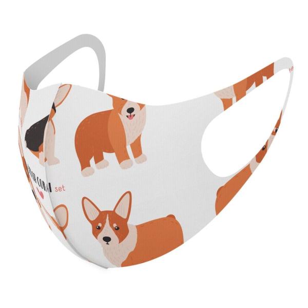 }XN 2Zbg fUC 􂦂 |GXe Y fB[X j  ǂ WjA c Aw @R[M[ 016231