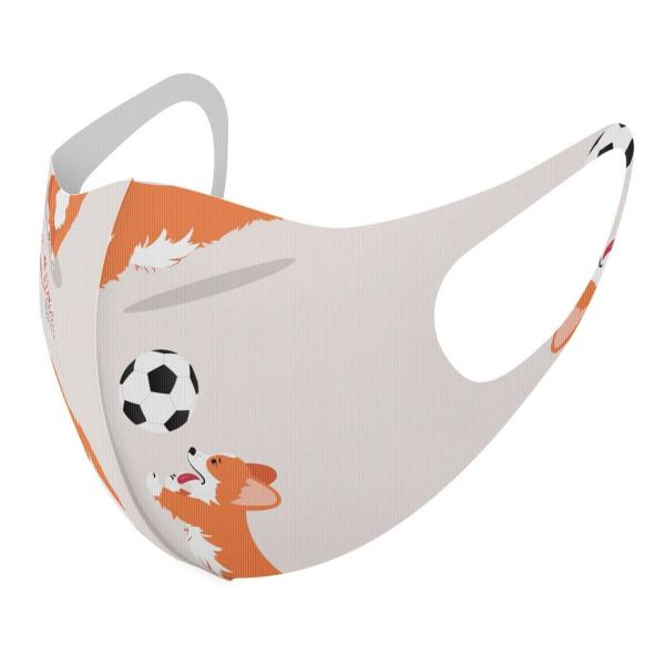 }XN 2Zbg fUC 􂦂 |GXe Y fB[X j  ǂ WjA c Aw @TbJ[@ 016256