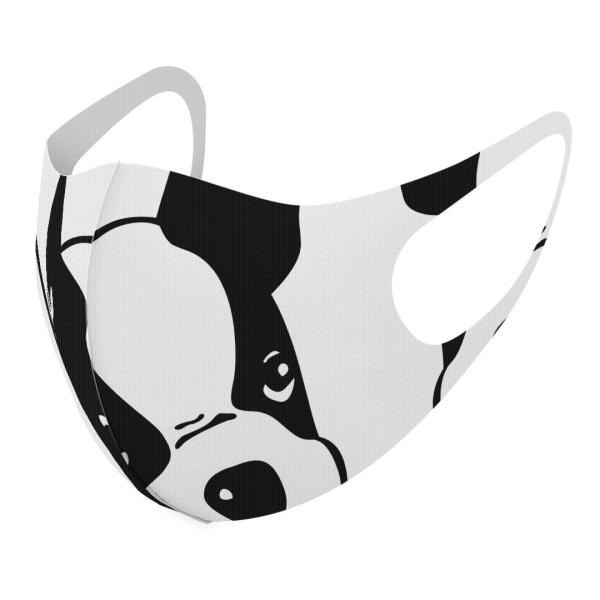 }XN 2Zbg fUC 􂦂 |GXe Y fB[X j  ǂ WjA c Aw @CXg@ 016444