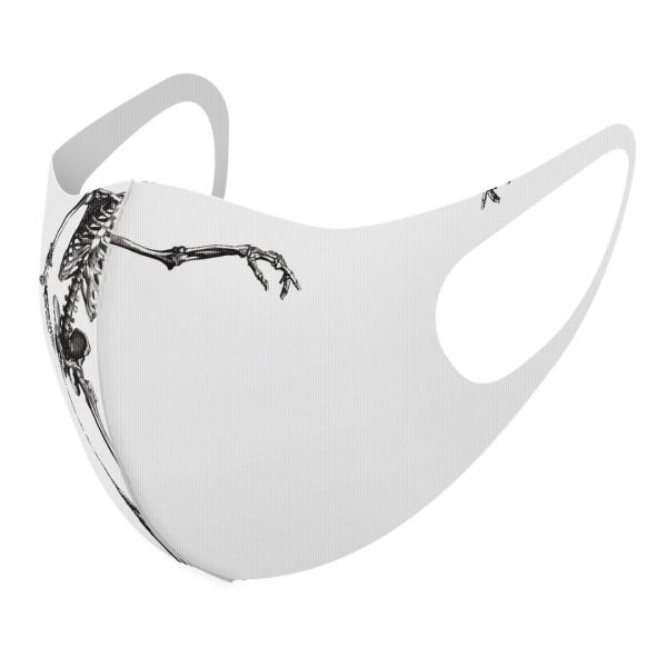 }XN 2Zbg fUC 􂦂 |GXe Y fB[X j  ǂ WjA c Aw A@[@KCRc@z[ 017480