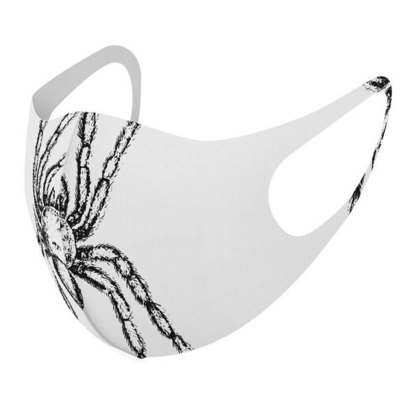 }XN 2Zbg fUC 􂦂 |GXe Y fB[X j  ǂ WjA c Aw A@w偁@N 017487