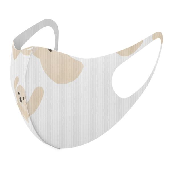 }XN 2Zbg fUC 􂦂 |GXe Y fB[X j  ǂ WjA c Aw ΂@菑@킢 017495