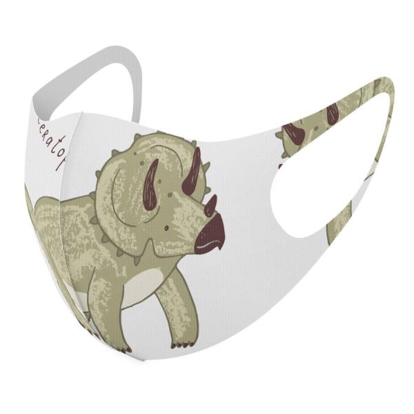 }XN 2Zbg fUC 􂦂 |GXe z Y fB[X j  ǂ qǂ WjA  _Ci\[@@Dinosaur gPgvX@017559