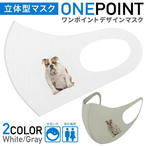 }XN 2Zbg |Cg 50mm 􂦂 |GXe z Y fB[X c ǂ WjA @uhbO@@ 017983