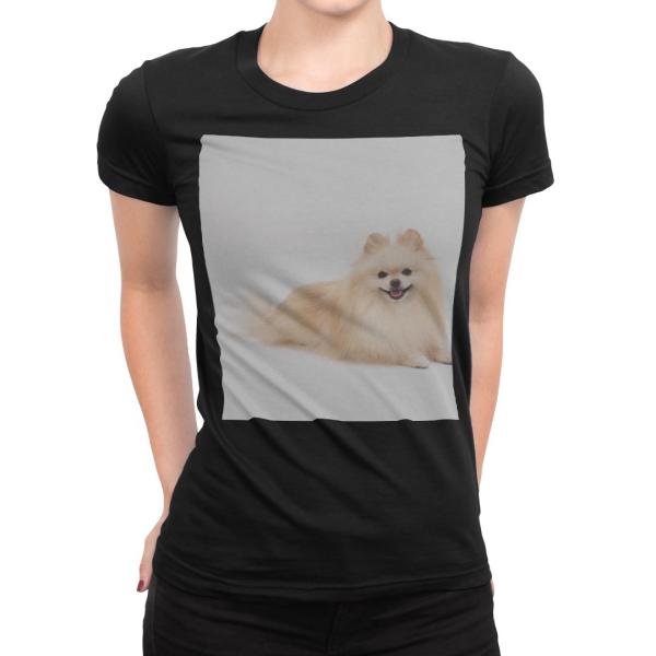 tVc fB[X  ubN  fUC S M L XL TVc eB[Vc T shirt  @@ʐ^ 002911