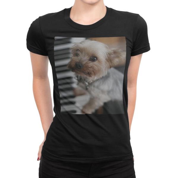 tVc fB[X  ubN  fUC S M L XL TVc eB[Vc T shirt  @ʐ^@sAm 004565